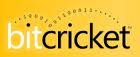 Bitcricket logo free downoload