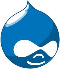Drupal 7 Front Page metatag