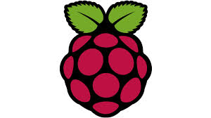 Raspberry Pi model B logo