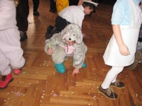 339_3911.jpg
